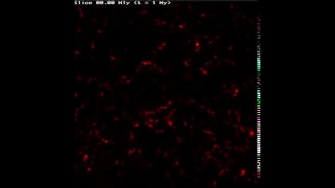 Galaxy formation simulation