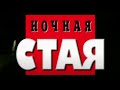 Ночная стая