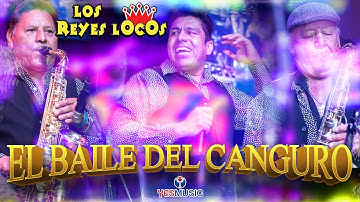Los Reyes Locos "El Baile Del Canguro" (Video Oficial)