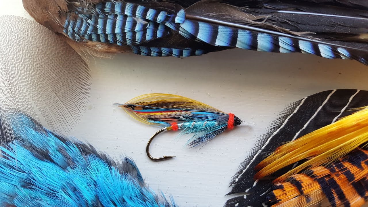 Fly tying - Blue Doctor (Kelson) - YouTube