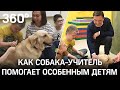 Собака-учитель помогает особенным детям  пойти в детсад и школу