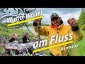 Welsangeln in Deutschland | Wurm-Waller am Fluss | Radau-Macher Montage by Stefan Seuss