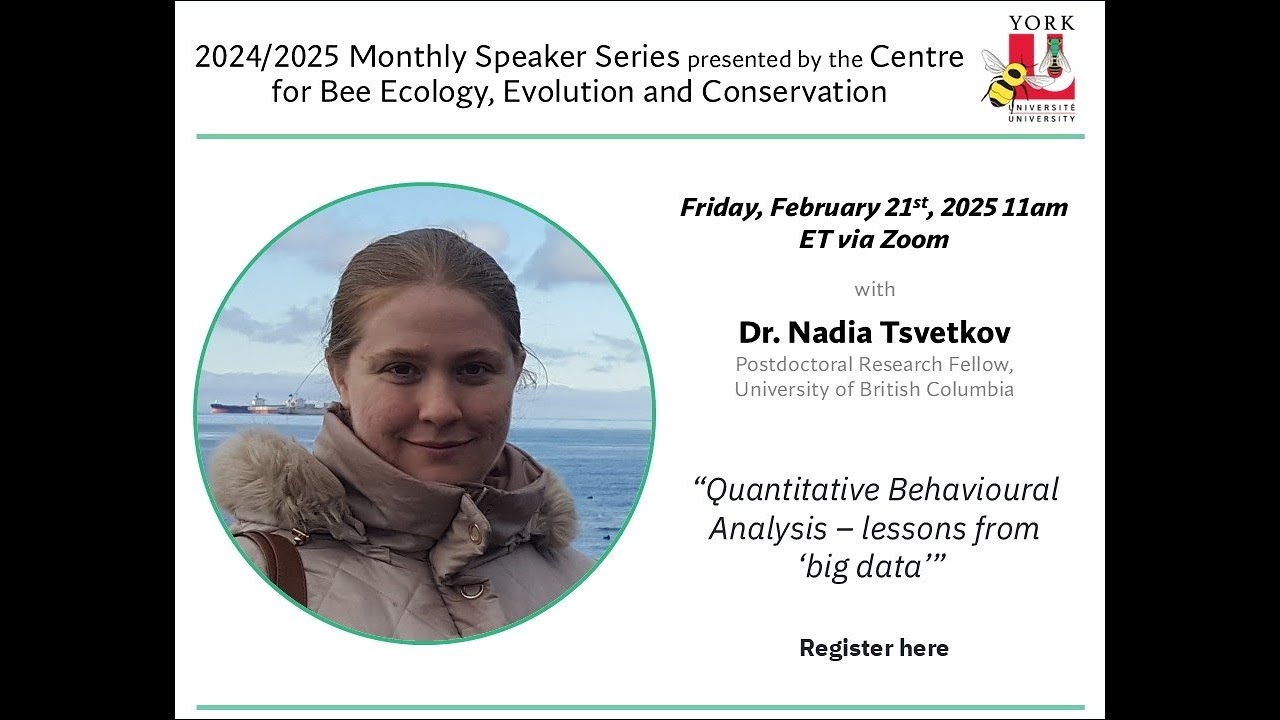 Quantitative Behavioural Analysis - lessons from 'big data'