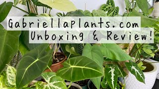 Gabriella Plants Houseplant Haul & Unboxing! | Gabriellaplants.com Unboxing & Review