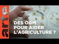 Agriculture  aton besoin des nouveaux ogm   arte dcryptages