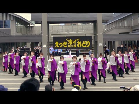 [4K] REN (ODAWARA Essa-Hoi Odori 2023 - Tourist Information Center Plaza)