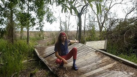 Delaunay Triangulation (Computational Geometry Concepts, Episode 6)