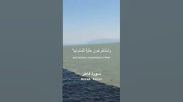 وما يستوي البحران هذا عذب فرات_سورة فاطر اية ١٢ _الشيخ محمد ايوب رحمه اللهSurah Fatir Mohammed Ayoub