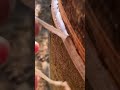 Rubber Tapping Looks Simple. It Isn't.