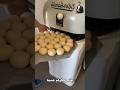 تقطيع العجين اكسبلور   ترند كامري حيوانات النظافه