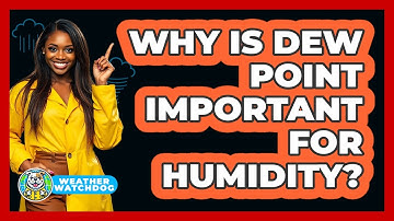 Why Is Dew Point Important For Humidity? - Weather Watchdog