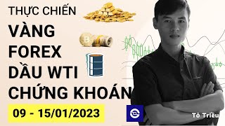 Giá Vàng tuần này - Xu hướng Forex - Giá dầu - Chứng khoán cơ sở tuần 02-2023 (09 - 15/01)