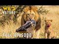 SOUTH LUANGWA - Surviving the Deadly Drought (Full Episode) | Nature Animal Documentary