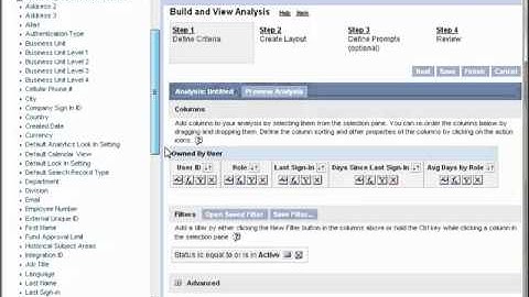 Intelenex - CRM On Demand User Sign In Report