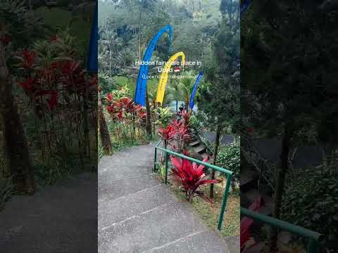 Sari Timbul Ubud A Fairytale Retreat In Bali S Heart Travelvlog Trending Bali