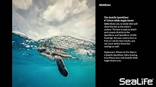 SeaLife SportDiver/Smartphone Underwater Photo Workshop #underwaterphotography