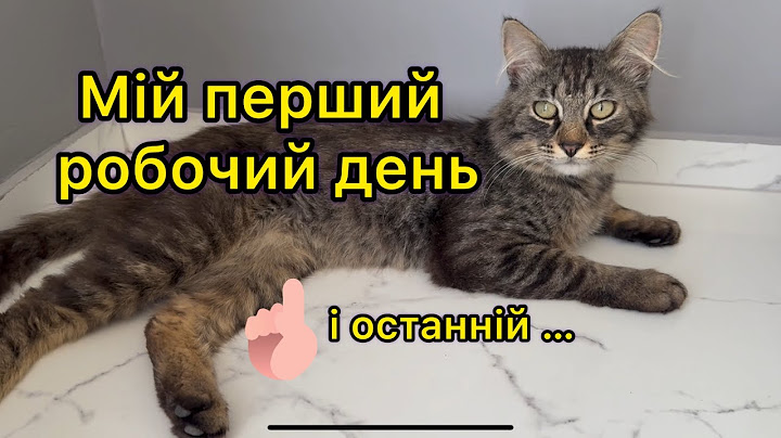 Кіт вирішує “влаштуватися на роботу”, але все йде не за планом👆💻🐾