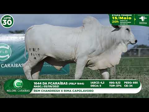 LOTE 30   FBLP 1644