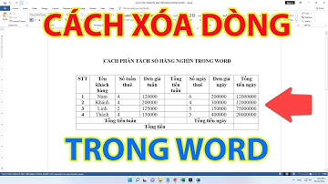 Cách Xóa Dòng Trong Word