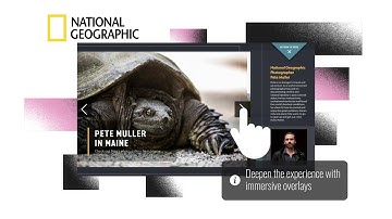 What Is Interactive Video?