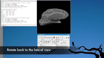 Cutting flat patches in visual cortex using Freesurfer