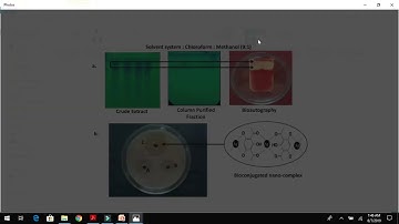 #Graphical #Abstract How to Design Graphical abstract Using MS Power point, SIMPLE AND EASY #Article