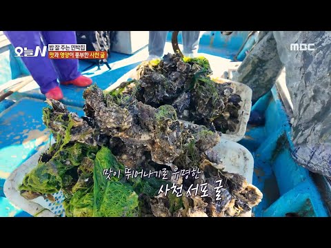 [오늘 N] 파래와 함께 올라오는 굴🥰 맛과 영양이 풍부한 <strong>사천</strong> 굴, MBC 250219 방송