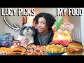 MY DOG PICKS WHAT I EAT FOR A DAY *HORRIBLE*