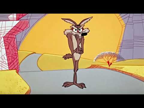 Wile e Coyote e Daffy Duck  - Space Jam e Zio Paperone