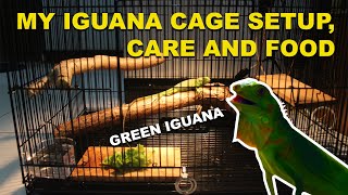 Iguana Cage Setup, Care, Food and Diet   Ep. 1 (My First Green Iguana)