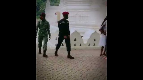 SL COMMANDO REGIMENT #slarmy #slnavy #slairforce #sinhala #sf_team #srilanka #armytiktok #tiktok sf