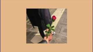 Lay All Your Love On Me - ABBA (sped up | nightcore)