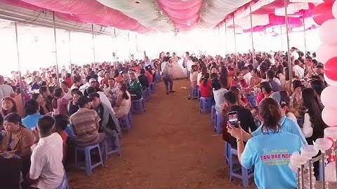 Đám Cưới Lớn Nhất Ở Quê // Khách đến rất đông - Gia đình rất vui mừng - tronpiu vlog