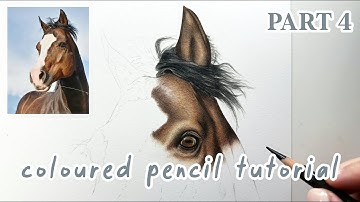 How to Draw a Horse in Coloured Pencils | Realistic Drawing Tutorial Full Series | Part 4