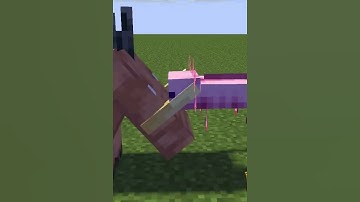 Axolotl VS Holin {Minecraft Animation}