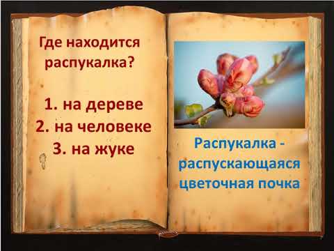 Владимир Иванович Даль