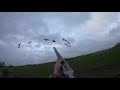 goose hunting belgium 2019