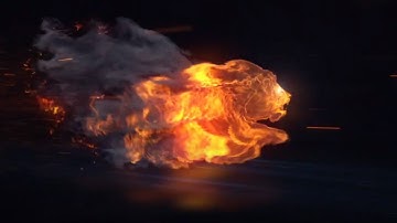 lion Intro Background 3D || No Text || Tiger