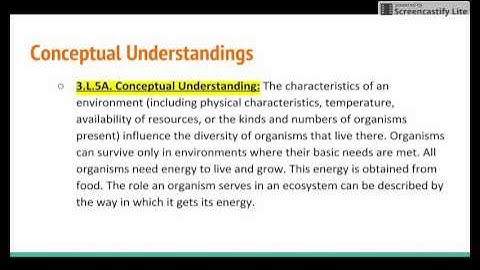 Unpacking the SC Elementary Science Standards Part 1- Conceptual Understandings
