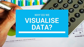 Why Do We Visualise Data? BI For Beginners