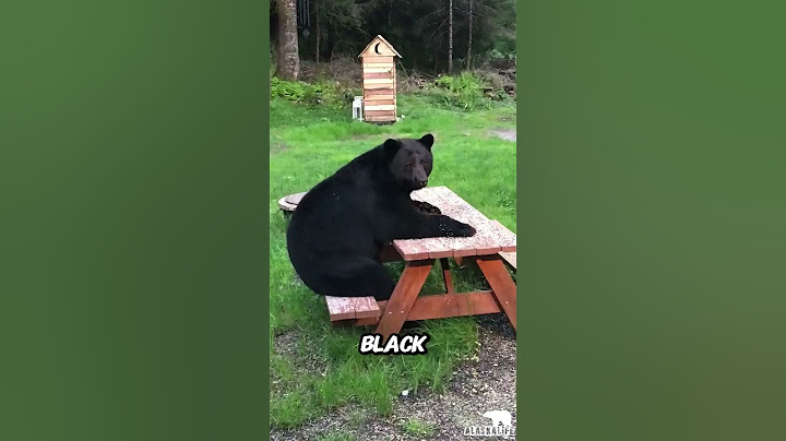 If you encounter a bear, do not climb a tree