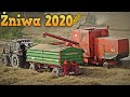 Żniwa 2020 z Bizonem 🌾 Mamy Rekord - Krzysiu Zadowolony [Pszenica PRODUZENT] 😱 Konkurs MafiaSolec