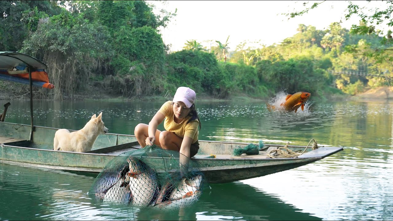 Catching Fish with Special Traps – More Than We Expected!