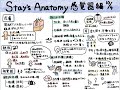 Stay‘s Anatomy感覚器編 グラレコ