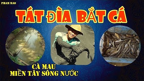 TÁT ĐÌA BẮT CÁ - NƯỚNG CHUI RƠM ĂN NGON TUYỆT - Ẩm Thực Miền Tây | PHAM MAO