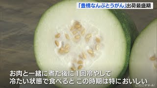 「お肉と一緒に煮て 冷やして食べて」ブランド品種『豊橋なんぶとうがん』出荷最盛期 愛知(2022/7/28)