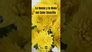 Celebrity PSICOLOGÍA DEL COLOR AMARILLO - Lo bueno y lo malo del COLOR  del OPTIMISMO Profile