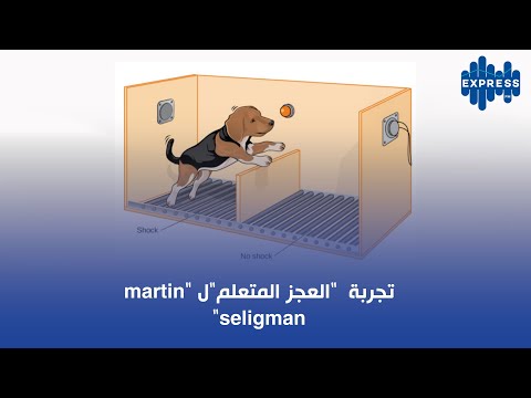 تجربة العجز المتعلم ل