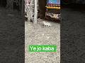 #kaba #new #content #creator #100k✅🕋#new #post #islamicpost #creator #100k✅🕋