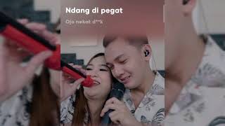 OJO NJALUK PEGAT - Nella Kharisma (lirik)